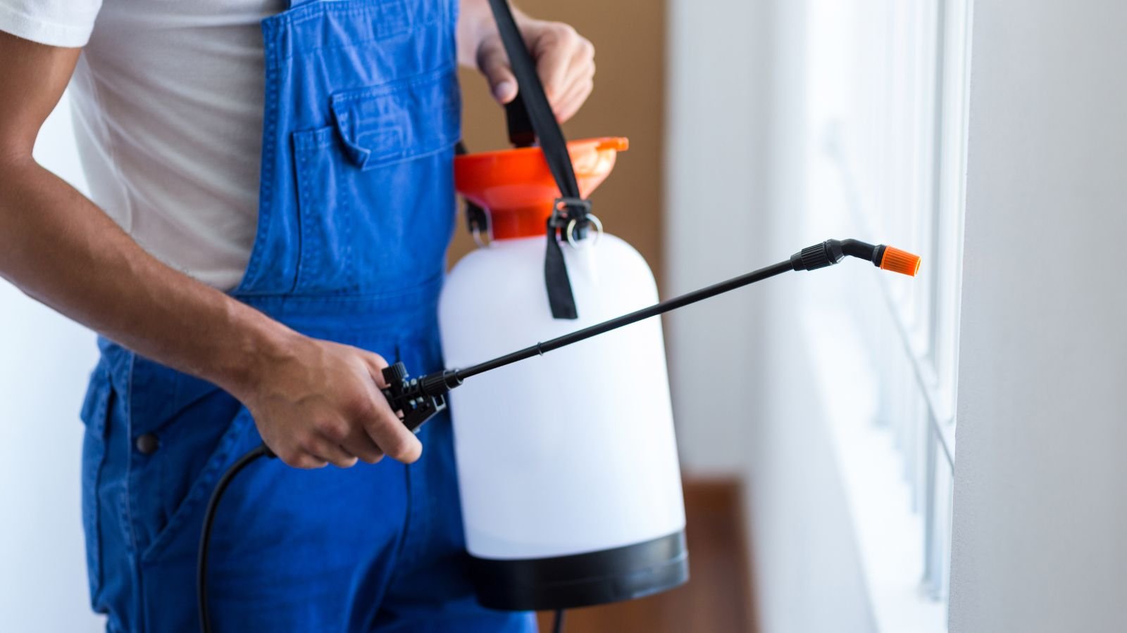 Restaurant Pest Audit