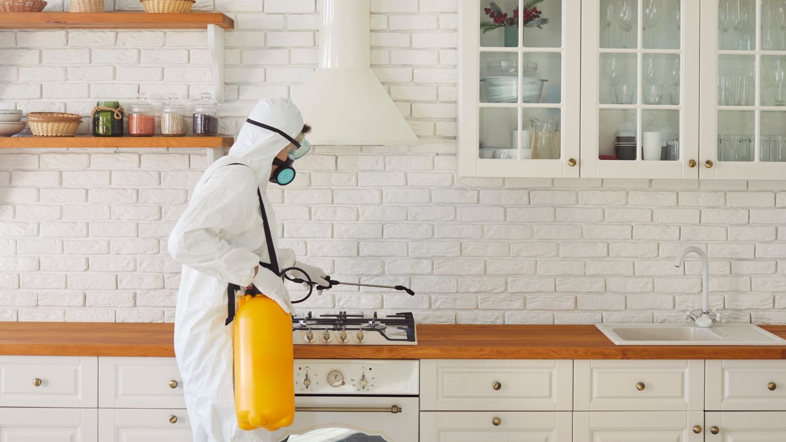 Commercial Pest Prevention